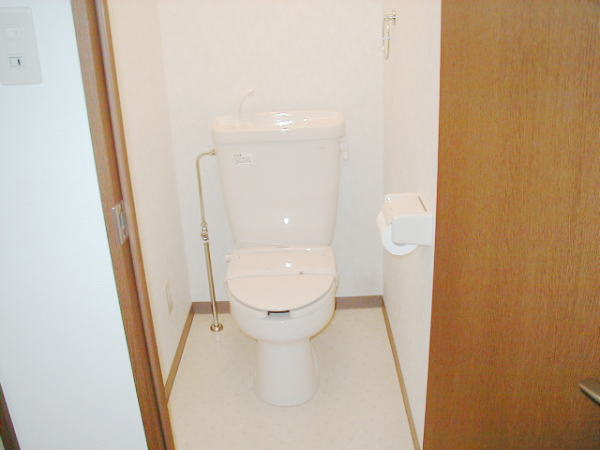 Toilet. Flush toilet