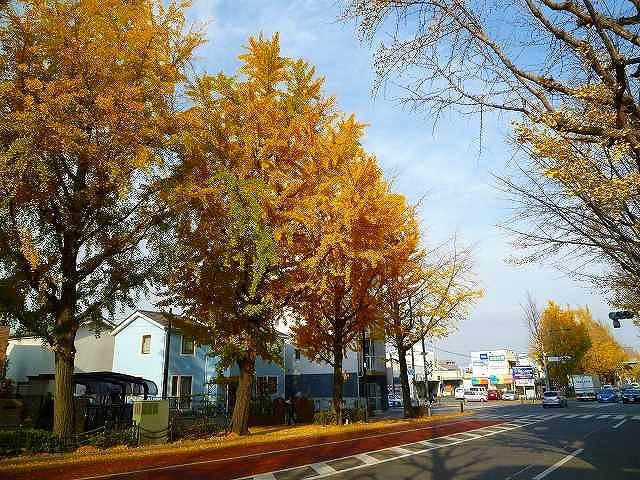 Other. West near Hachioji National Highway Route 20