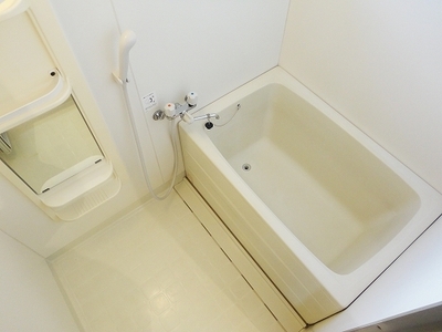 Bath. It is a mirror with a bath.