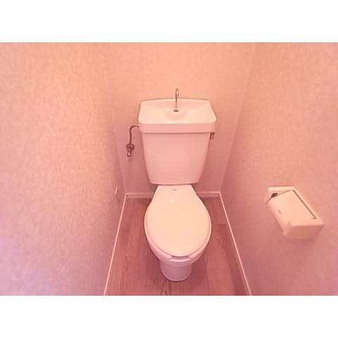 Toilet. Toilet