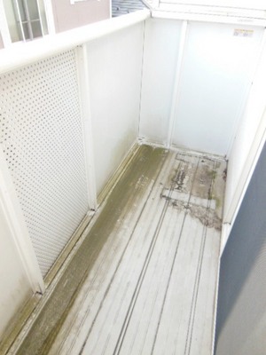 View. ☆ It will veranda ☆