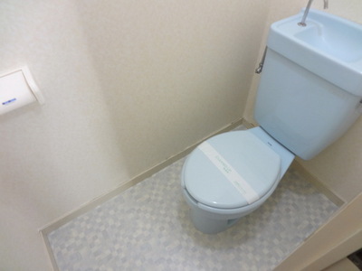 Toilet.  ☆ Clean toilet ☆