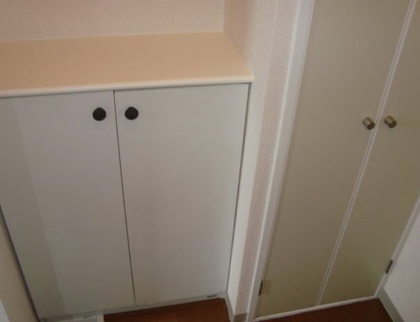 Entrance. With shoe box in the foyer