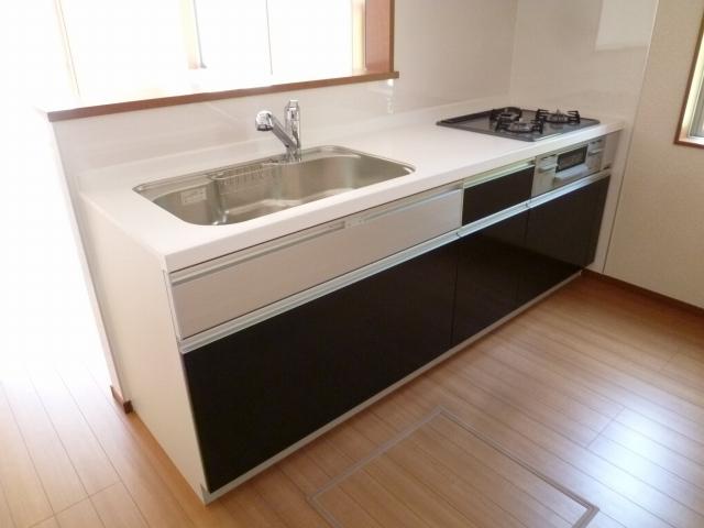 Kitchen. Popular face-to-face kitchen