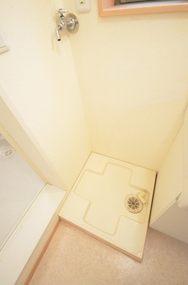 Other. There and somehow safe washing machine van