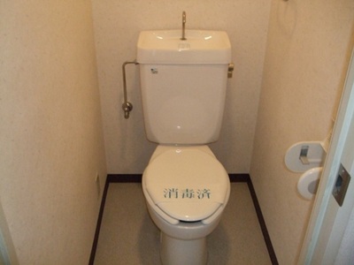 Toilet. Toilet is an important space.