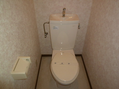 Toilet. ☆ Flush toilet ☆