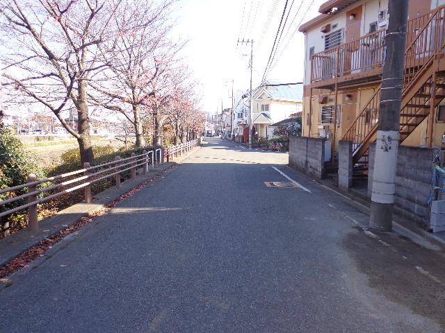 Local photos, including front road