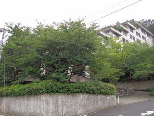 Local appearance photo. appearance