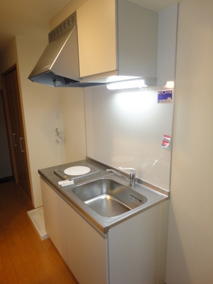 Kitchen. Cleaning Ease IH stove