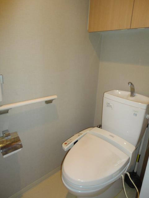 Toilet. Room (August 2013) Shooting