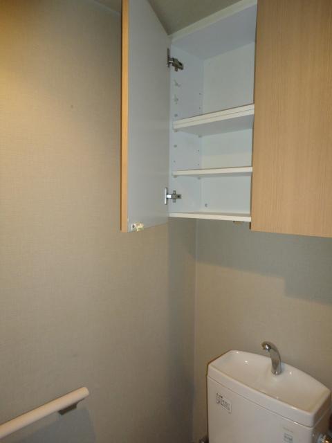 Toilet. Room (August 2013) Shooting