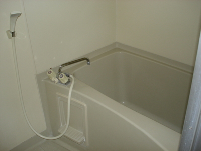 Bath. Convenient bus with shower!