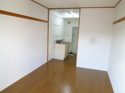 Living and room. Bright room