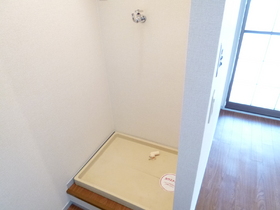 Washroom. Washing machine in the room