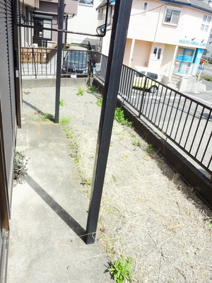 View. ☆ Garden ☆