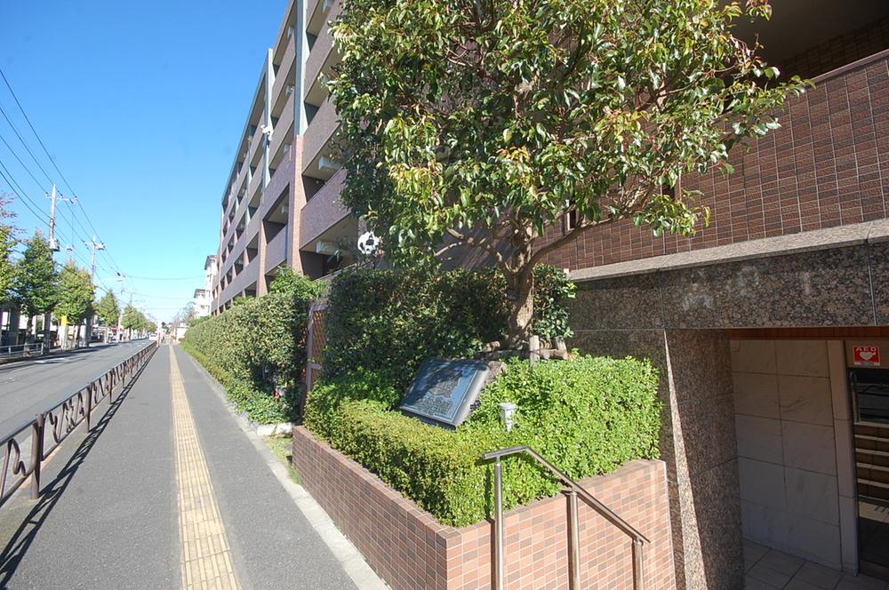 Local appearance photo. appearance