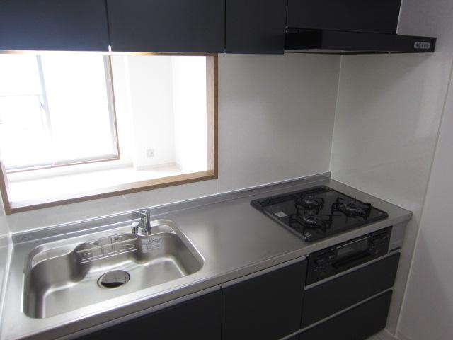 Kitchen. Indoor (September 2013) Shooting