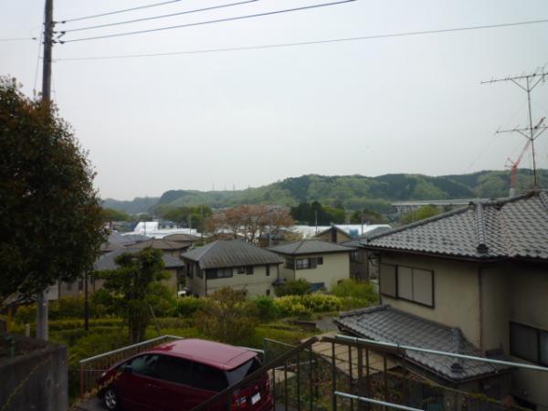 View photos from the local