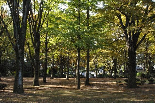 park. 1312m to the park Is the smell I