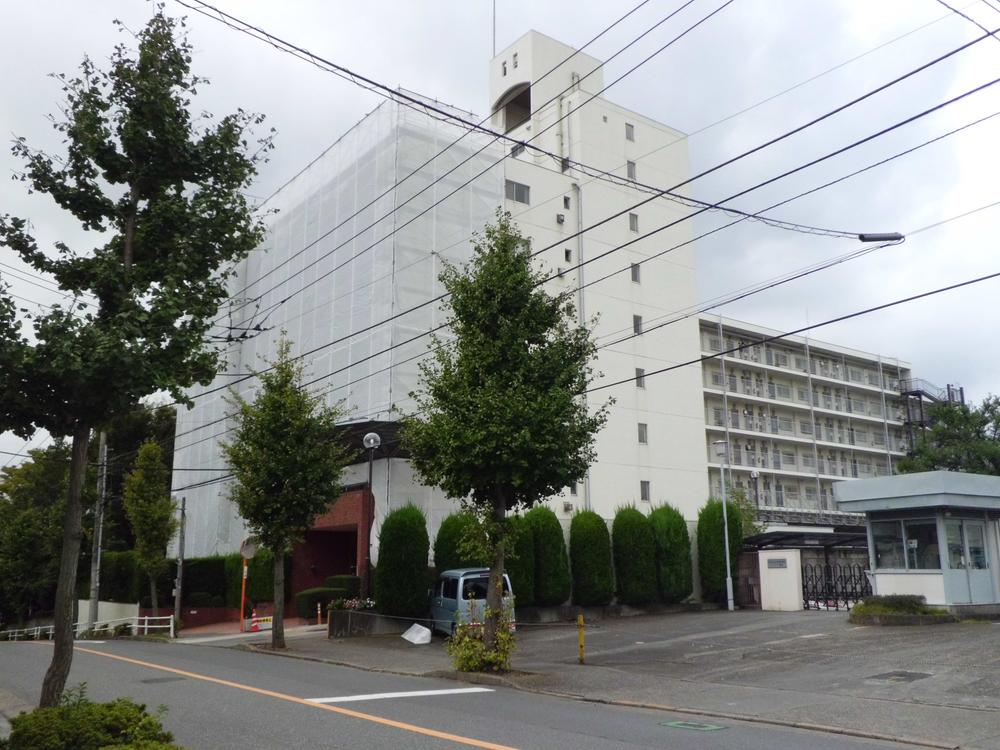 Local appearance photo. Local (10 May 2013) Shooting