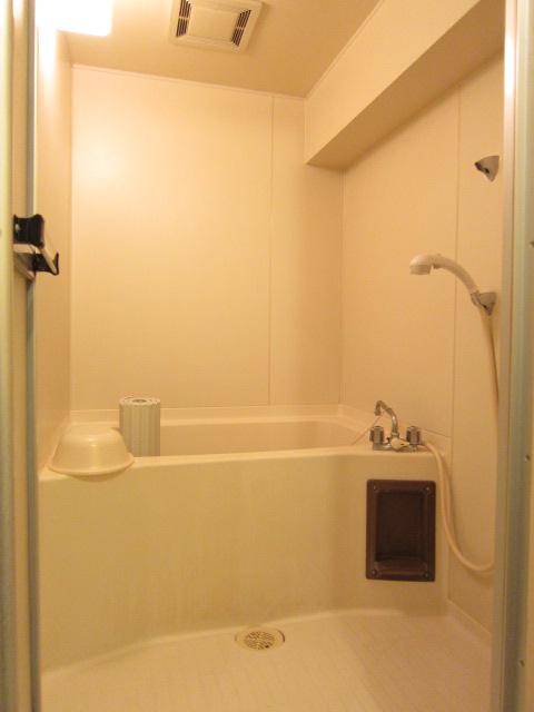 Bathroom. Indoor (10 May 2013) Shooting