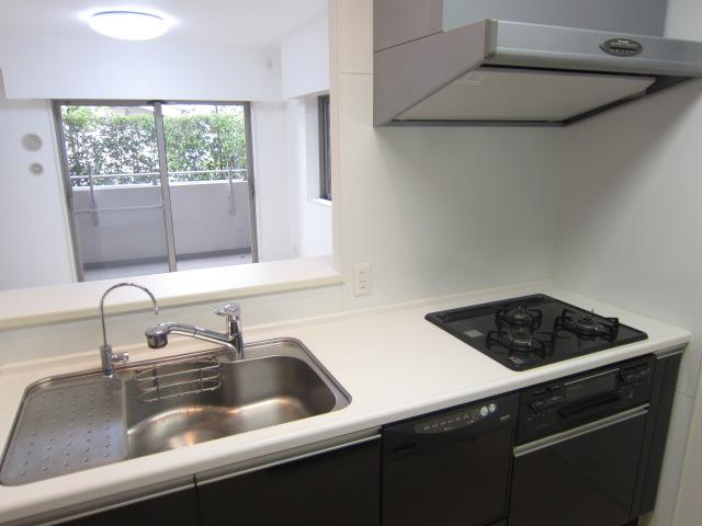 Kitchen. Room (August 2013) Shooting