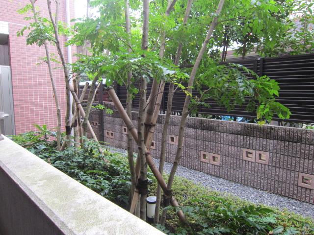 Other common areas. Common areas