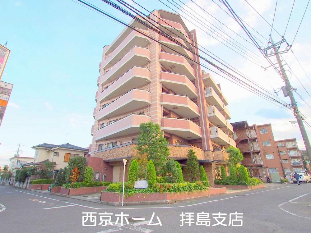 Local appearance photo. 2013 November shooting