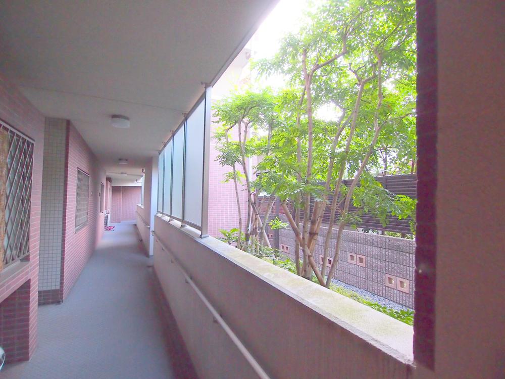 Entrance. Corridor