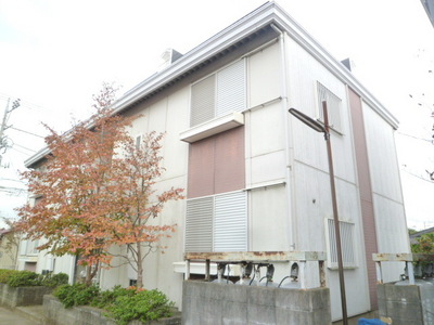 Other. Appearance 5m to its 2 (Other)