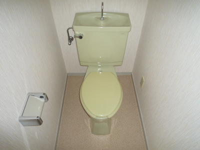 Toilet. Toilet