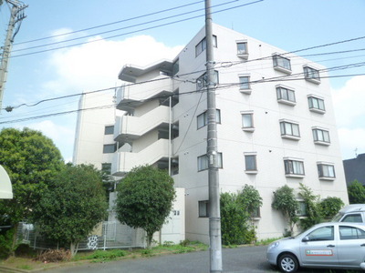 Other. 10m until the appearance of the road (Other)