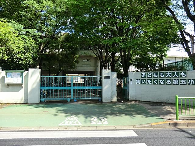 Primary school. Fifth elementary school to 800m fifth elementary school