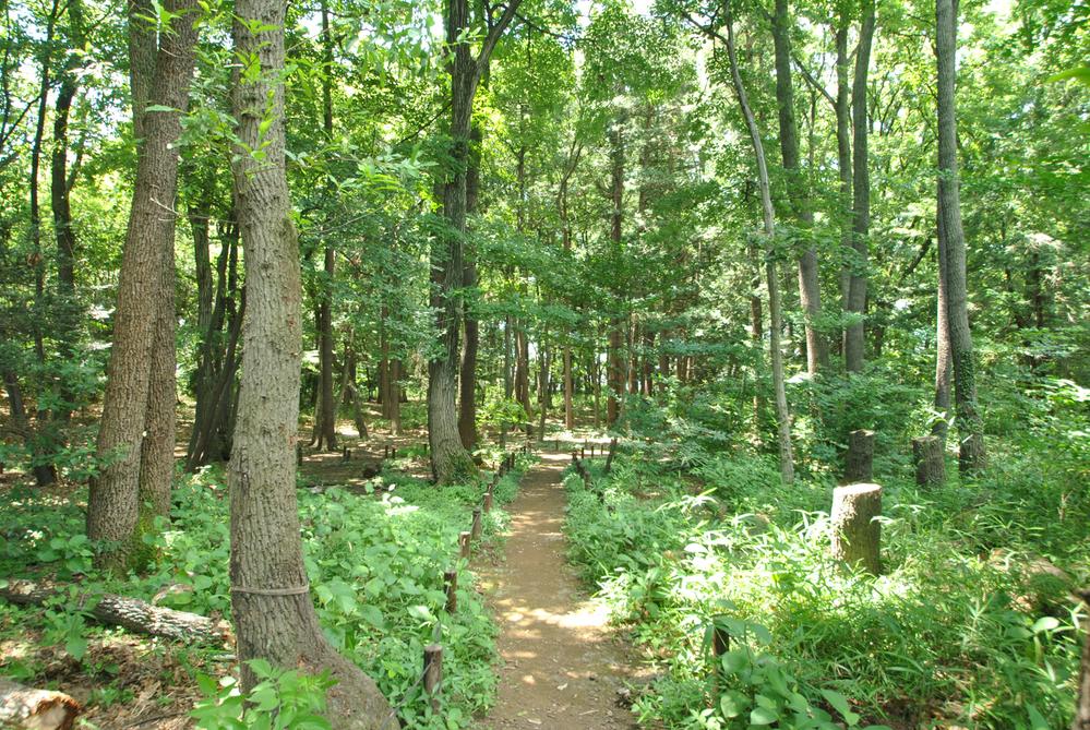 park. 310m to Jinshan Forest Square