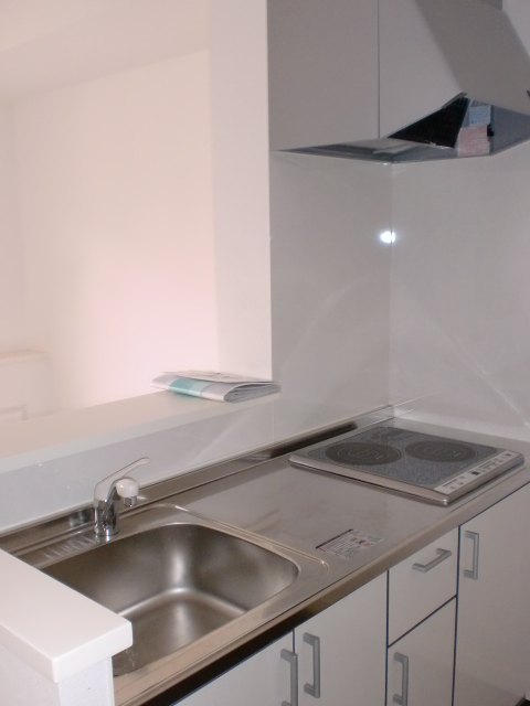 Kitchen. Two-burner stove IH face-to-face kitchen