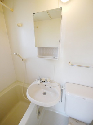 Washroom. Wash basin