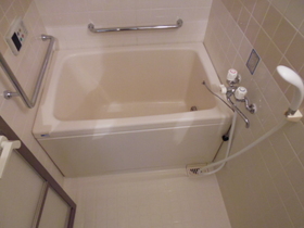 Bath. Reheating function with bathroom