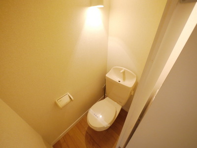 Toilet. Toilet with cleanliness