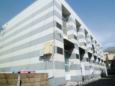 Other. 10m until the appearance of the road (Other)