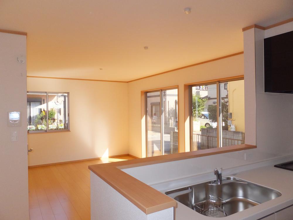 Kitchen. Local (11 May 2013) Shooting