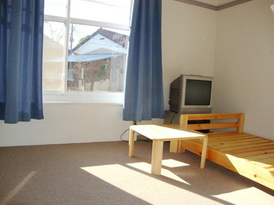 Living and room. Open living space