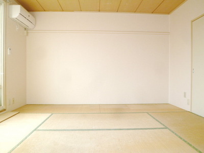 Living and room. Sunny