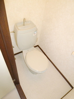 Toilet. Toilet with cleanliness