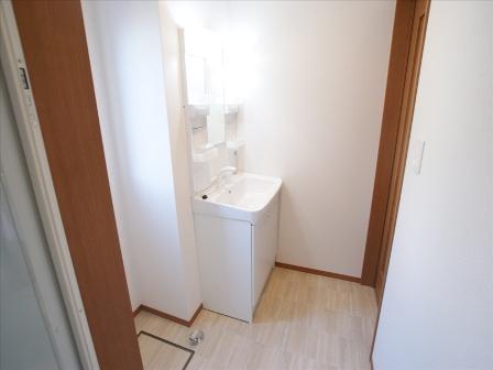 Wash basin, toilet. With a convenient shampoo dresser in a busy morning