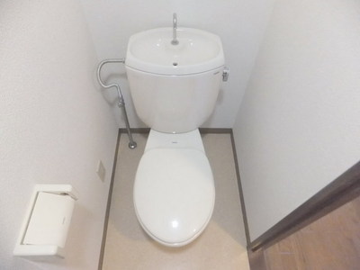 Toilet. Your hand-wash