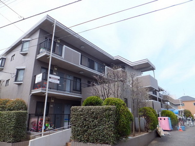 Other. 5m to the building side (Other)