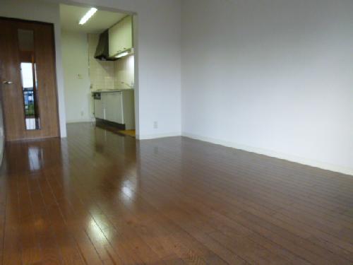 Living and room. Living