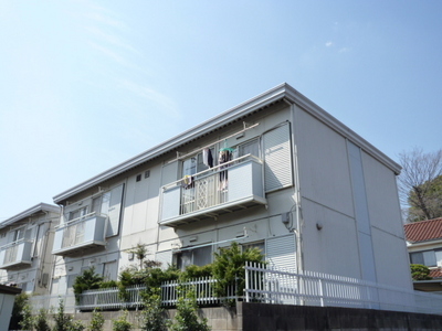 Other. Appearance 5m to its 2 (Other)