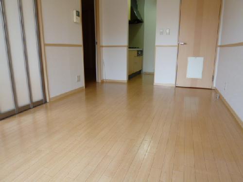 Living and room. Living